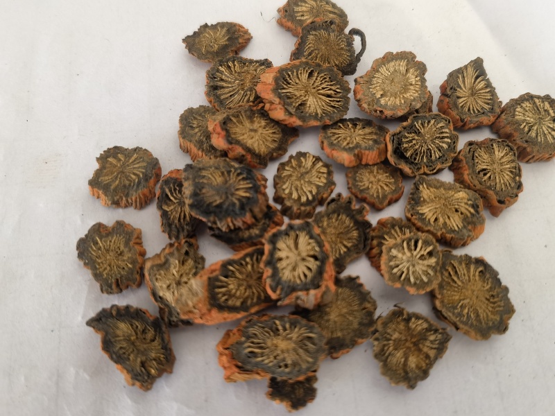 紫丹参选山东紫丹参发汗片菊花芯关书药业批发中药材