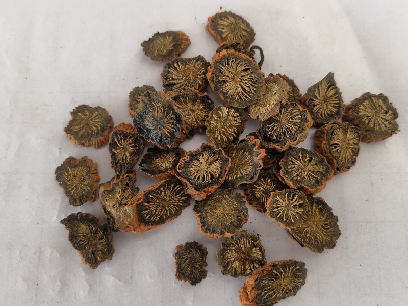 紫丹参选山东紫丹参发汗片菊花芯关书药业批发中药材