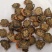 紫丹参选山东紫丹参发汗片菊花芯关书药业批发中药材