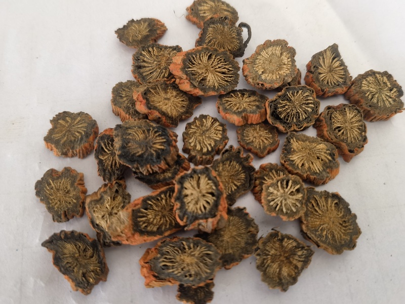 紫丹参选山东紫丹参发汗片菊花芯关书药业批发中药材
