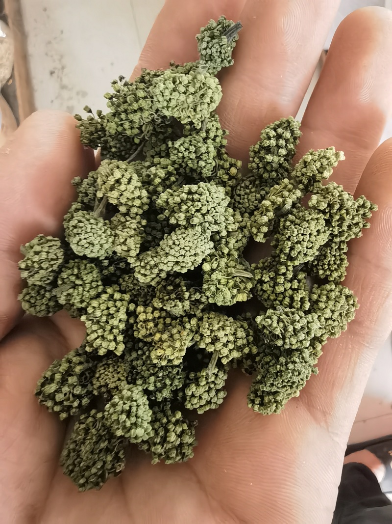 三七花三年以上三七花关书药业新货批发中药材