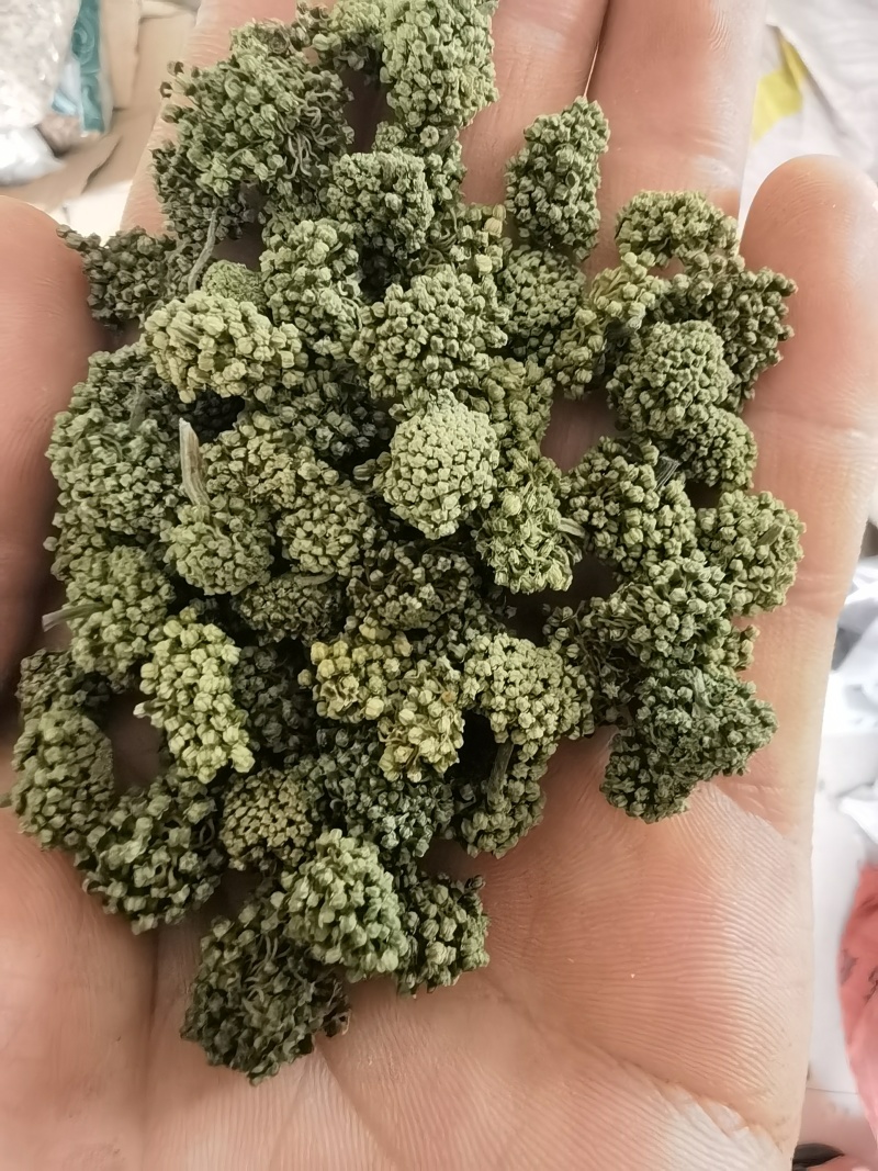 三七花三年以上三七花关书药业新货批发中药材