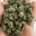 三七花三年以上三七花关书药业新货批发中药材