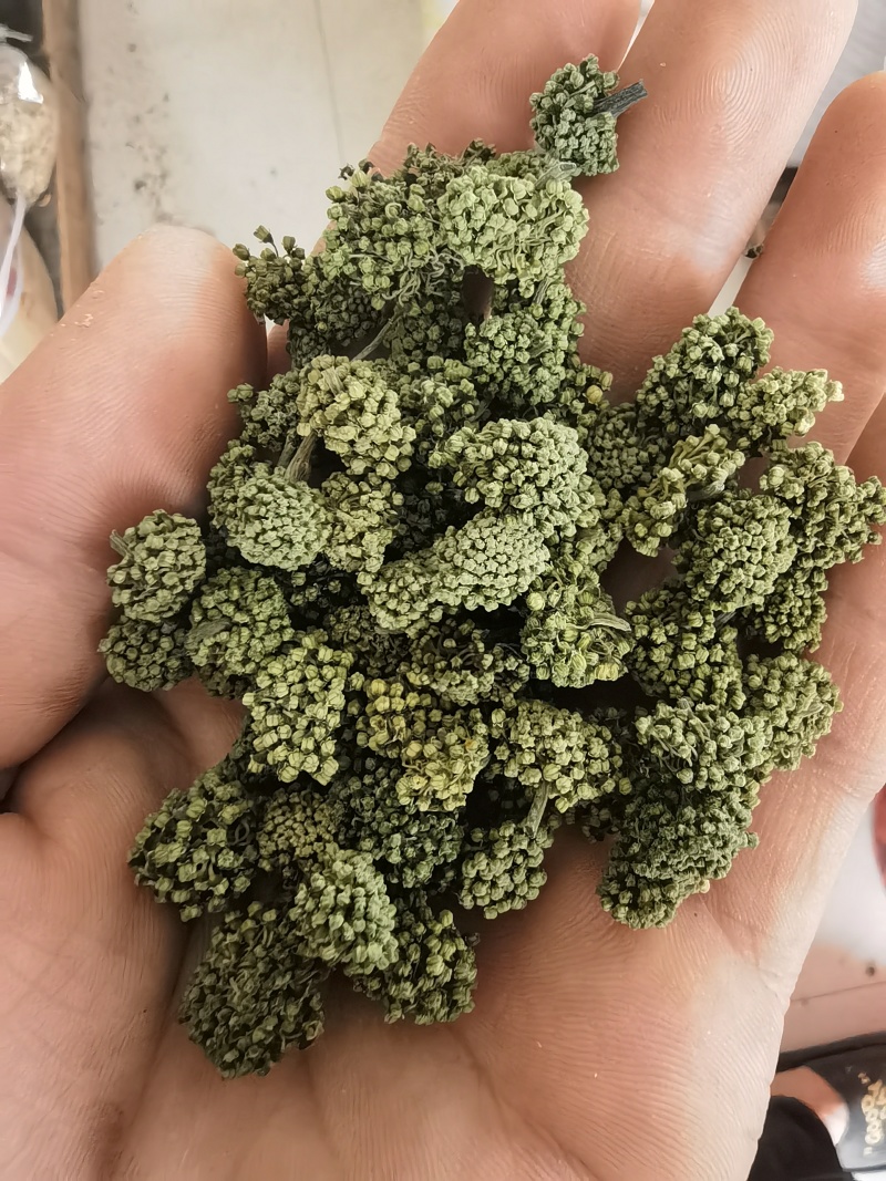 三七花三年以上三七花关书药业新货批发中药材