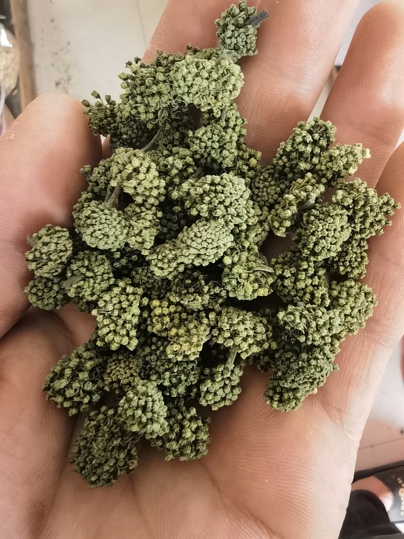 三七花，云南文山，三年花，关书药业批发中药材…