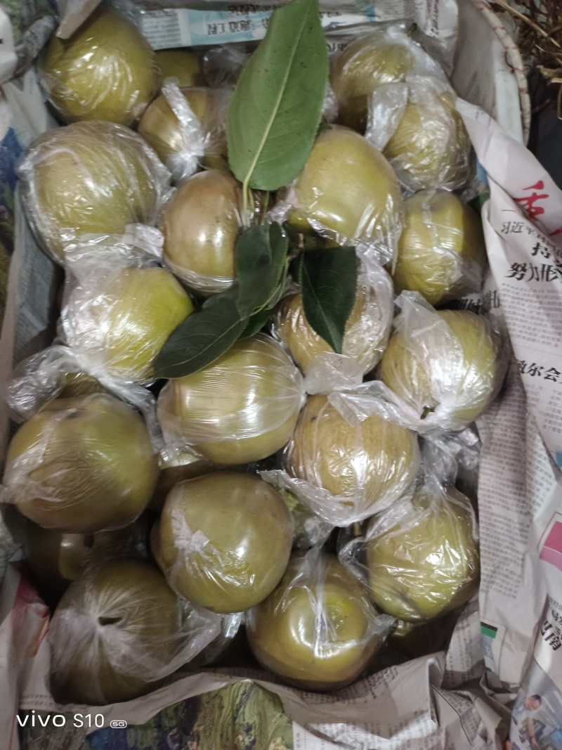 黄花梨