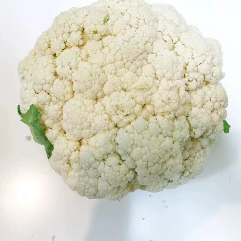 【松花菜】河南安阳基地直供质量保证一手货源全国发货