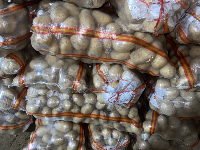 市场中摆放整齐的白心土豆