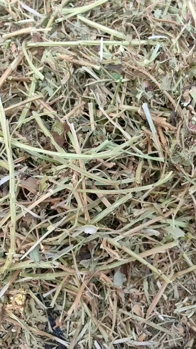 花生秧