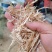 花生秧