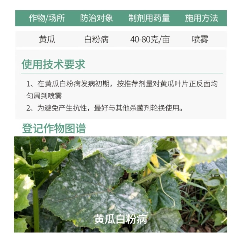 70%甲基硫菌灵粉剂：厂家直发甲基硫菌灵果树轮纹病杀菌剂