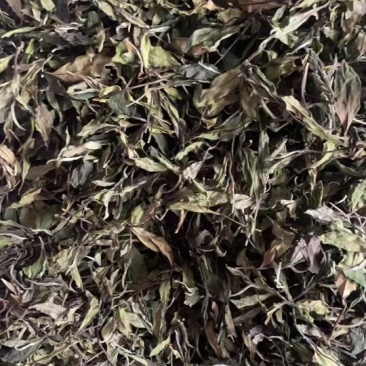 【甄选】政和白茶2024春寿眉，新茶精品茶叶，品质保障