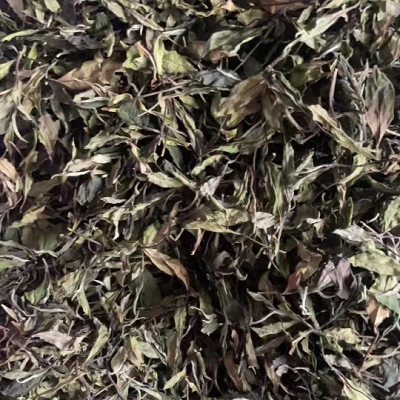 【甄选】政和白茶2024春寿眉，新茶精品茶叶，品质保障