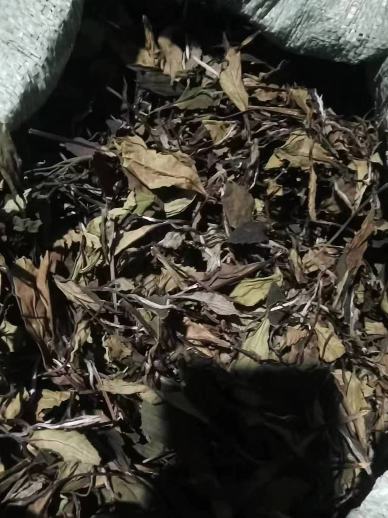 【甄选】政和白茶2024春寿眉，新茶精品茶叶，品质保障