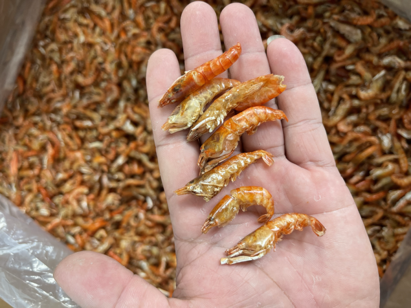 小虾、红色小红虾、网红小虾