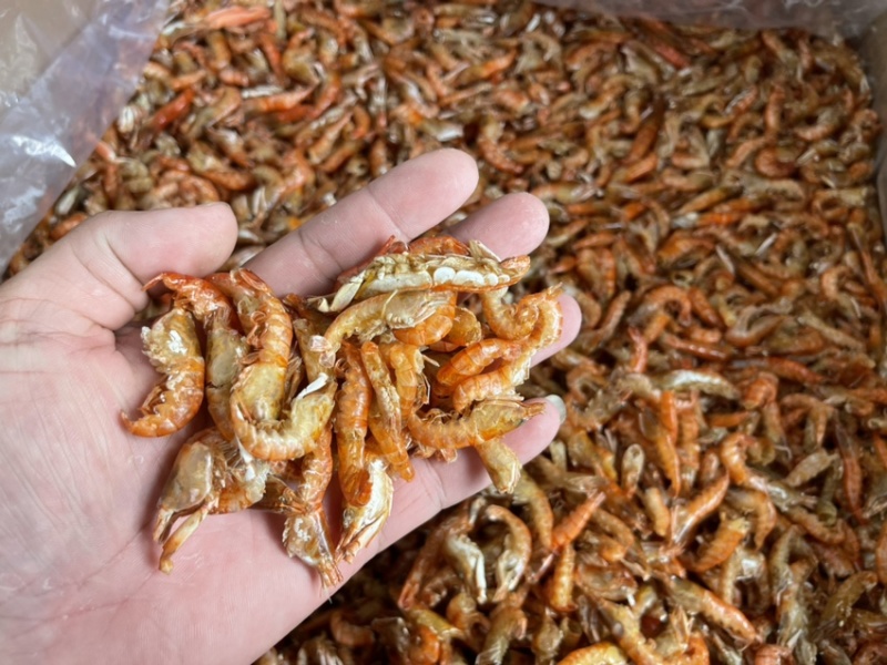 小虾、红色小红虾、网红小虾