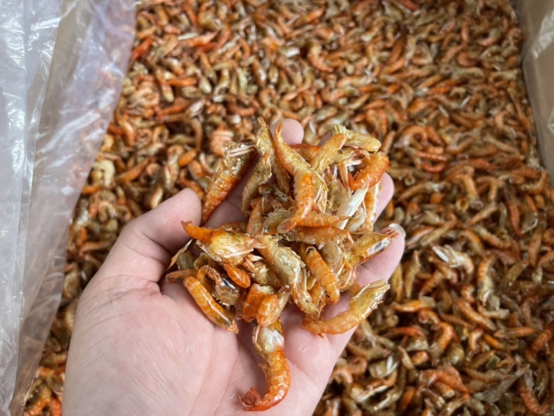 小虾、红色小红虾、网红小虾