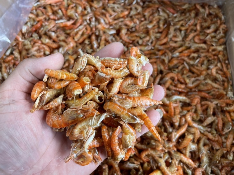 小虾、红色小红虾、网红小虾