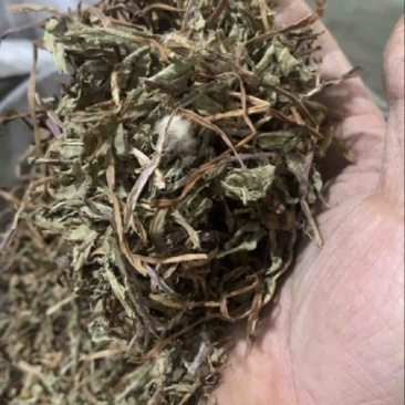 公英振兴药材批发量大从优一站式采购