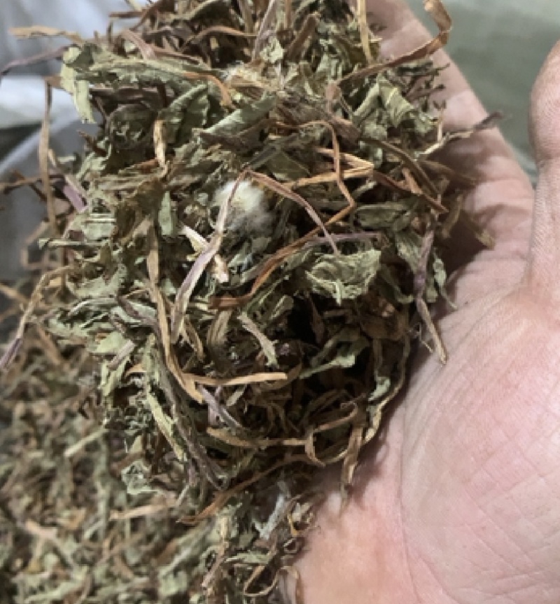 公英振兴药材批发量大从优一站式采购