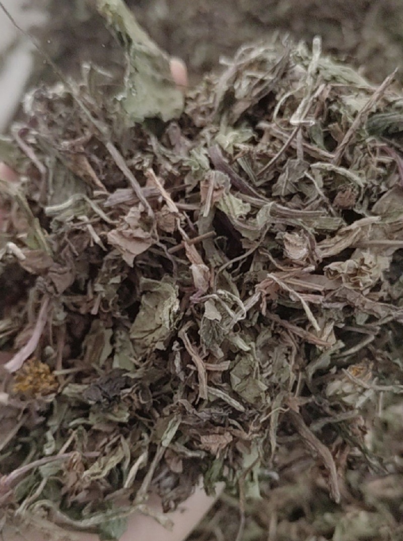 公英振兴药材批发量大从优一站式采购