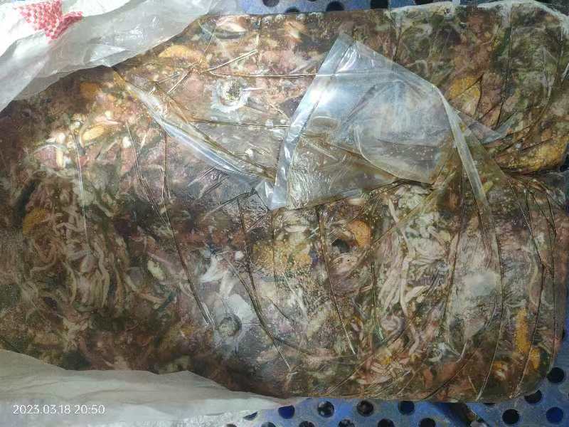 鱼内脏，高蛋白