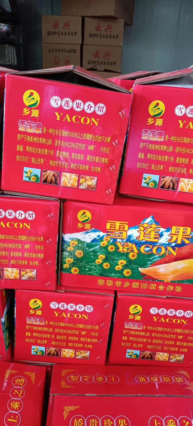 云南天山雪莲果产地直供，全国市场，电商大宗供应