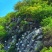 蜂蜜土蜂蜜百花蜜保质保量可以实地考察视频看货