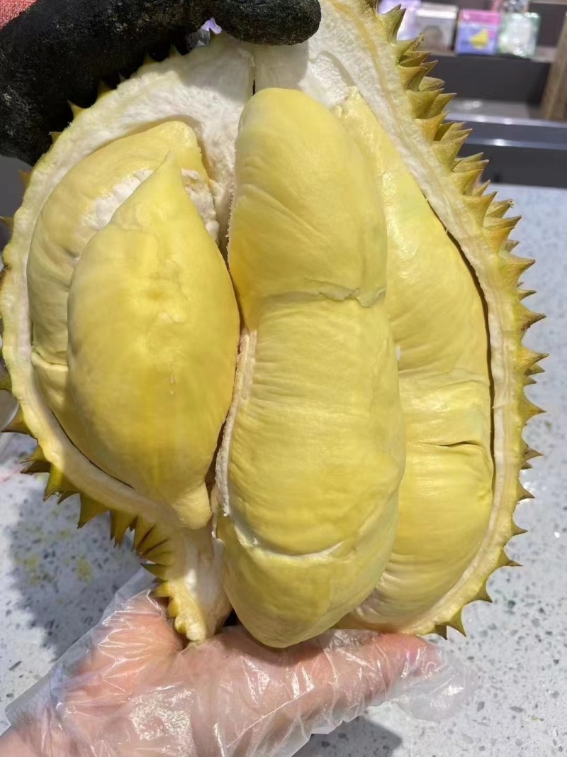 金枕榴莲大量有货