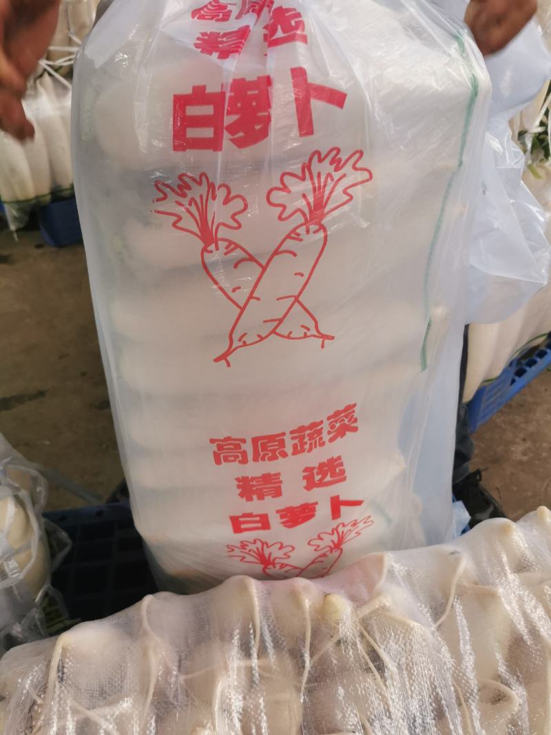 贵州高山精品白萝卜