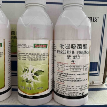滨农科技美桐25%吡唑醚菌酯微乳剂炭疽病杀菌剂农药