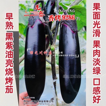 香烤9286烧烤茄种子四川龙盛黑紫棒形茄子种子早熟淡绿肉