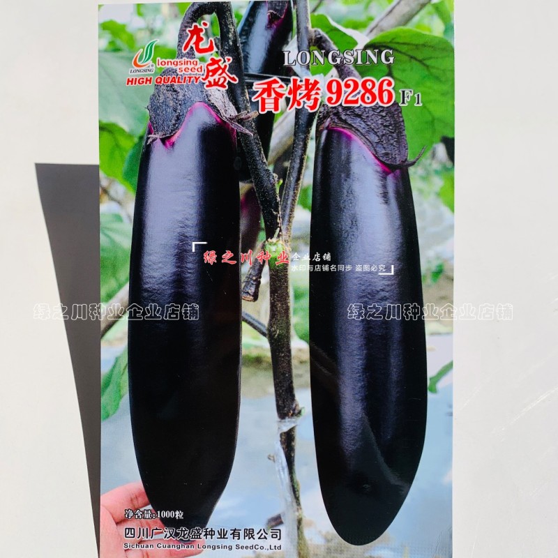 香烤9286烧烤茄种子四川龙盛黑紫棒形茄子种子早熟淡绿肉