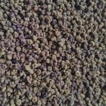 吴茱萸干净无杂质微信联系更优惠