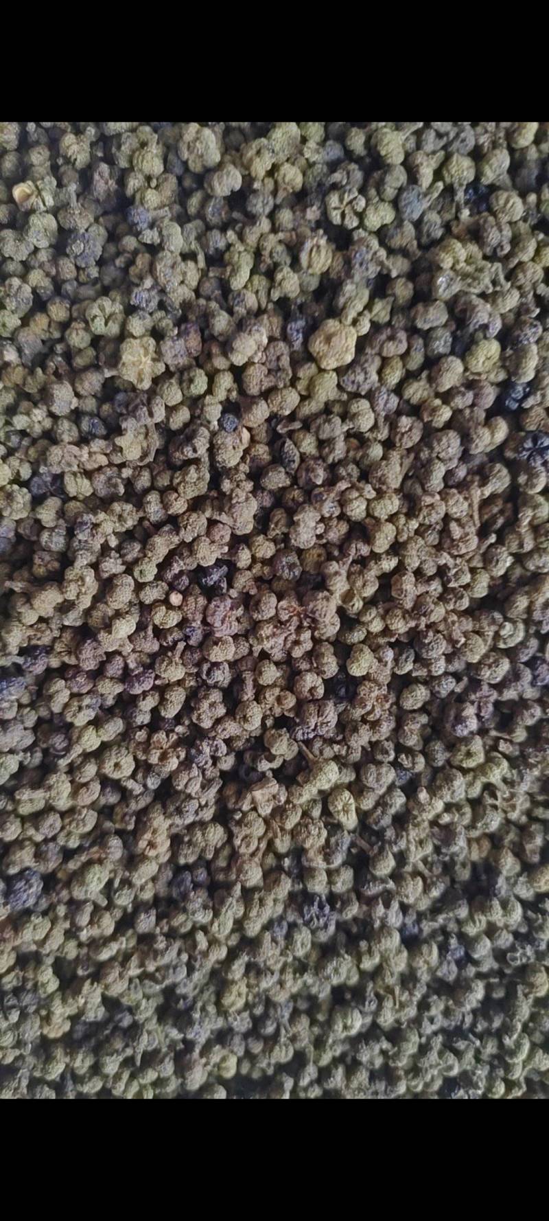 吴茱萸干净无杂质微信联系更优惠