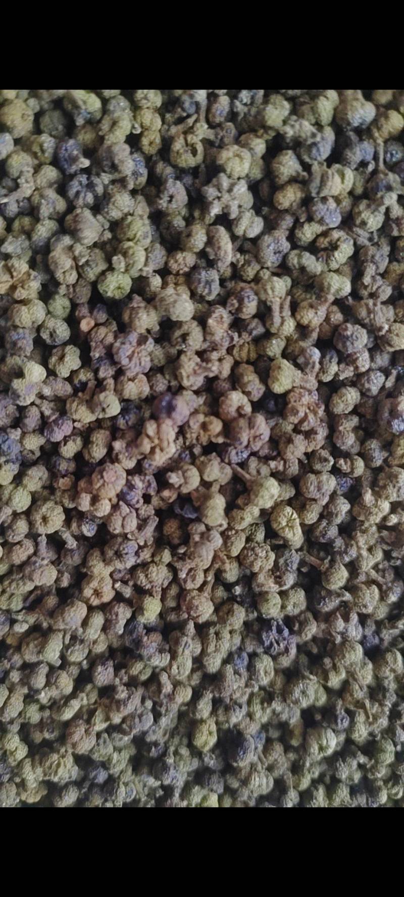 吴茱萸干净无杂质微信联系更优惠