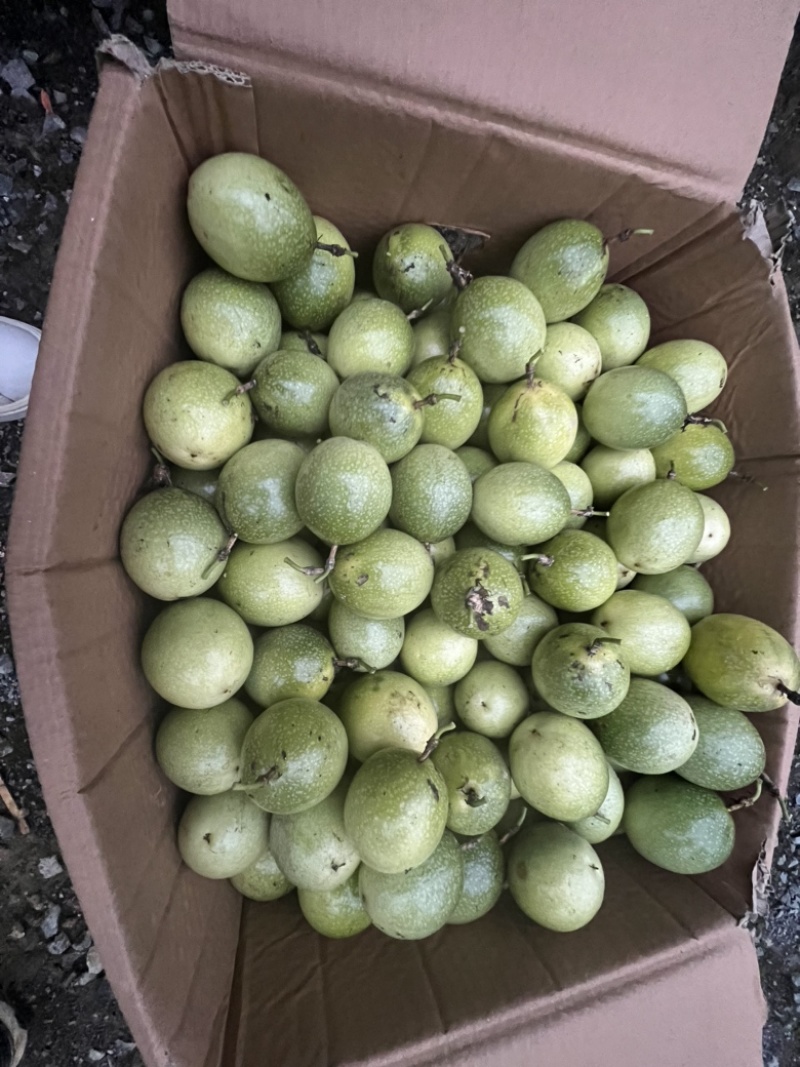 钦蜜9号百香果