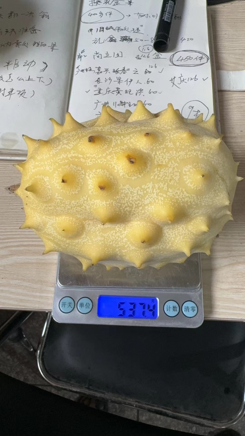 火参果新品种不催熟不打药，新峰系列全面上市