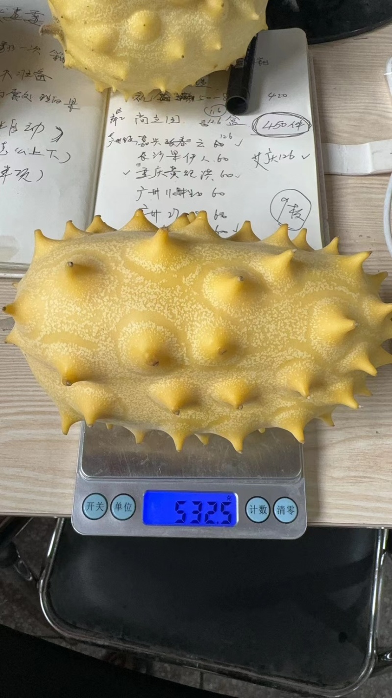 火参果新品种不催熟不打药，新峰系列全面上市