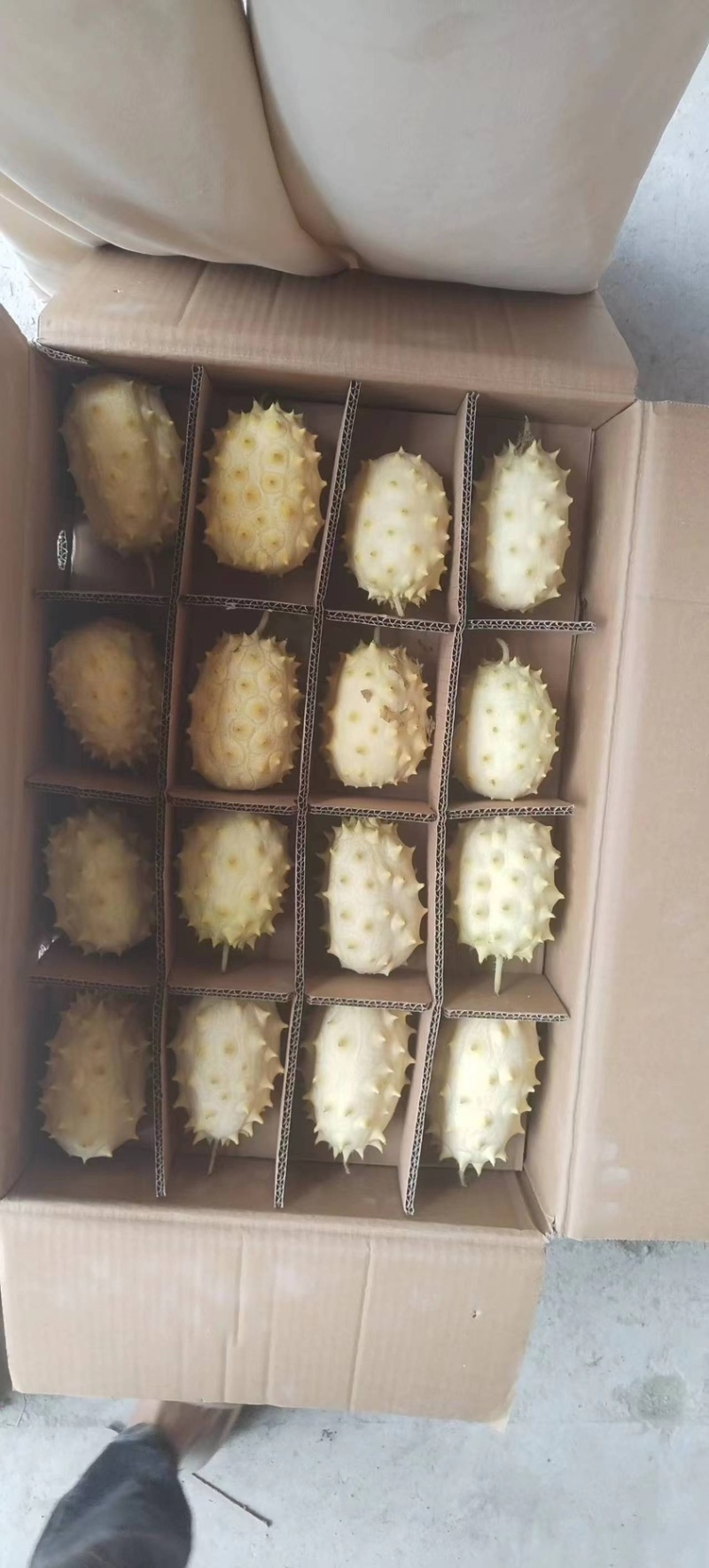 火参果新品种不催熟不打药，新峰系列全面上市