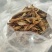 螳螂干刀螂干货袋装昆虫类优质无硫天然螳螂籽晒干