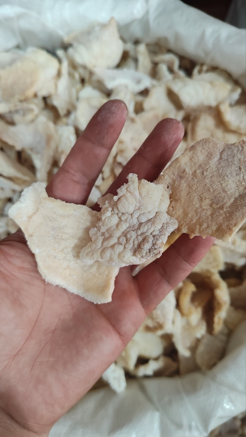 鱼鳔炒鱼螵鱼胶鱼肚鱼膘黄花胶鱼漂胶鱼鳔胶膨化鱼鳔