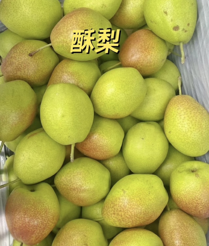 【精选】陕西梨子红香酥梨-产地直发-价格优惠-量大从优
