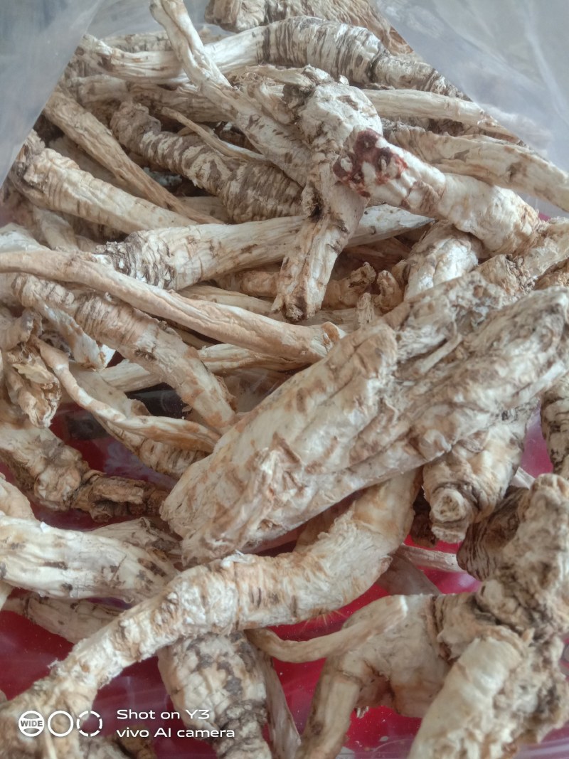 贵州黔南野生的南沙参干货大量现货欢迎订购
