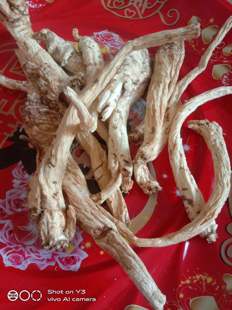 贵州黔南野生的南沙参干货大量现货欢迎订购