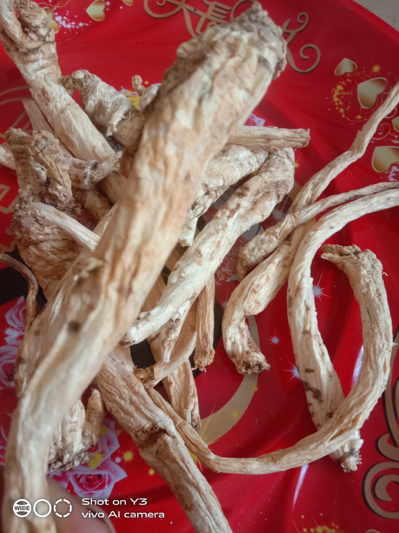 贵州黔南野生的南沙参干货大量现货欢迎订购
