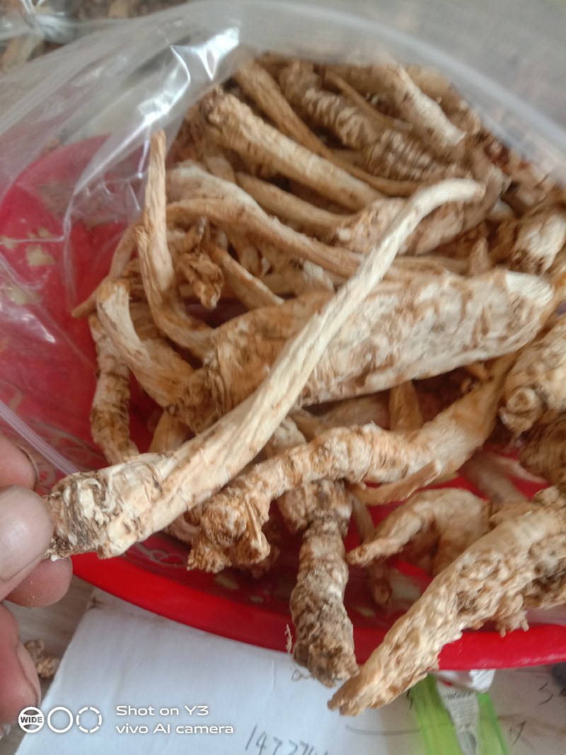 贵州黔南野生的南沙参干货大量现货欢迎订购