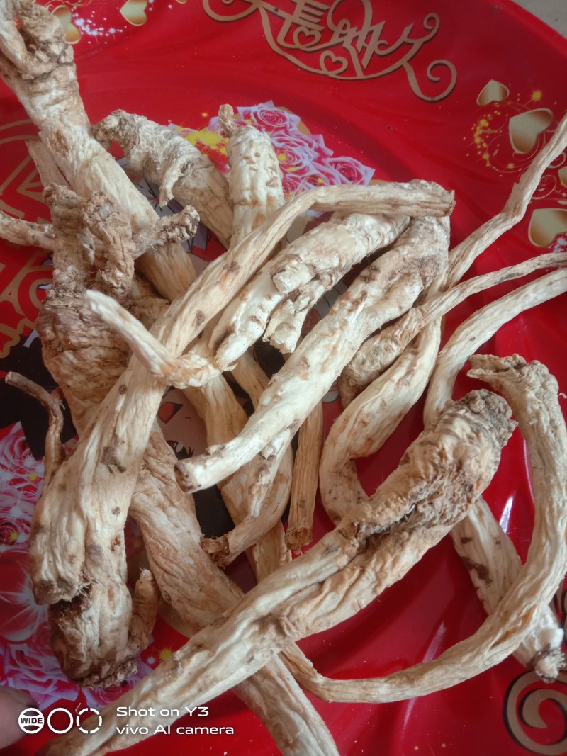 贵州黔南野生的南沙参干货大量现货欢迎订购