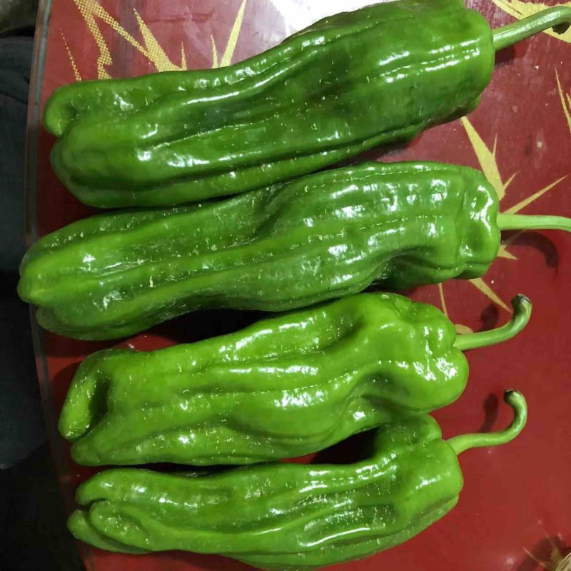 芜湖椒，高山精品，大量供应，价格优惠，质量好，欢迎咨询！
