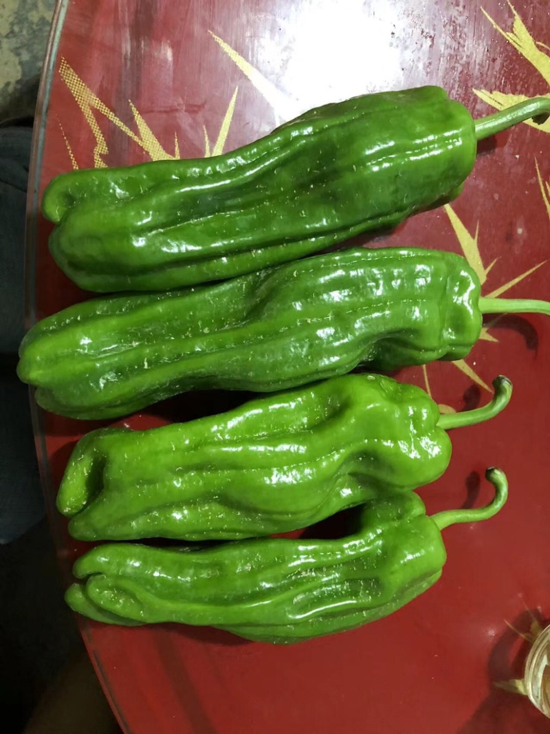 芜湖椒，高山精品，大量供应，价格优惠，质量好，欢迎咨询！
